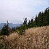 jeseň na Jesenovom vrchu