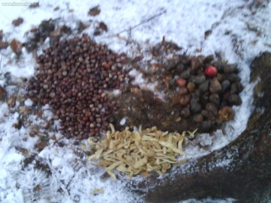 aby aj zver dnes mala stedry vecer