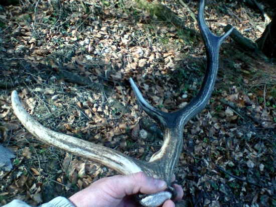 Najdeny pred styrmi rokmi....potesil :)