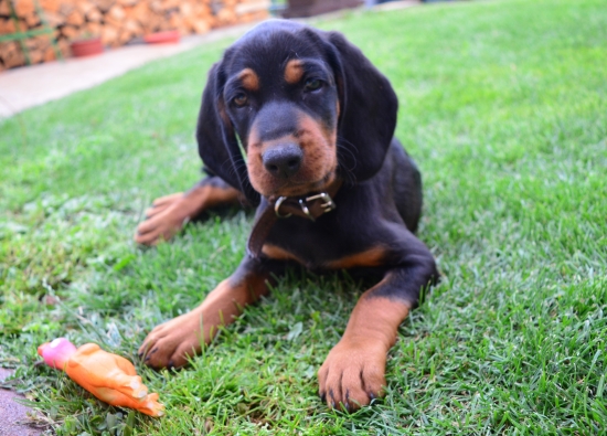 Nový člen rodiny :)