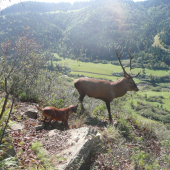 farbiarom zdar!