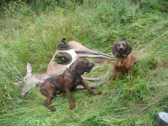 Artuš a Luna po práci