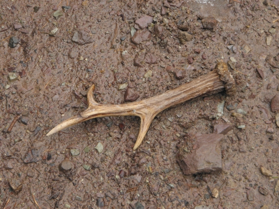 Na strede cestý - Tohtoročný