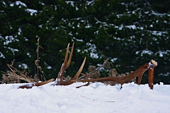 Moje prvé ..a hneď dvojité šťastie