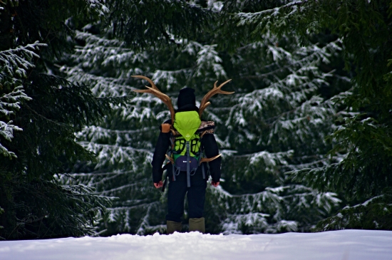 Spokojna cesta domou