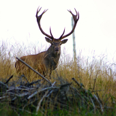 S úsmevom na tvári :)