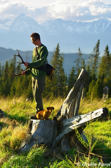 Podtatranská radosť