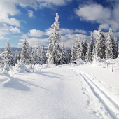 Ľadový trail Nízkymi Tatrami
