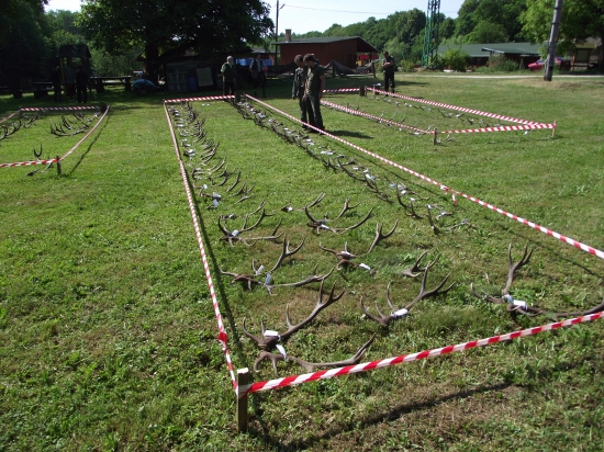 Výstava zhodov z Považského Inovca - Kulháň - II.VT