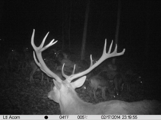 Asi mi zožerú všetko