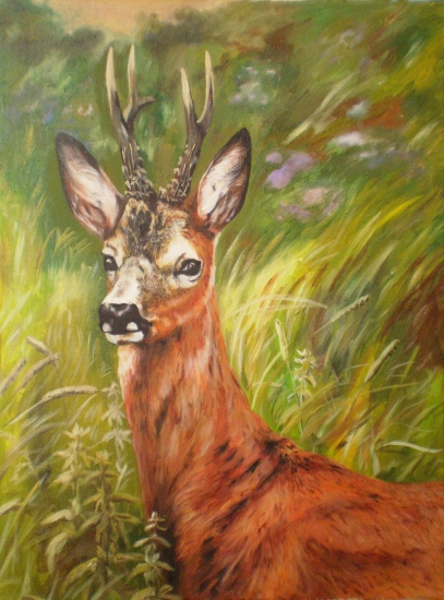 Roe deer