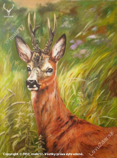 Roe deer