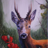 Srnec (deer)