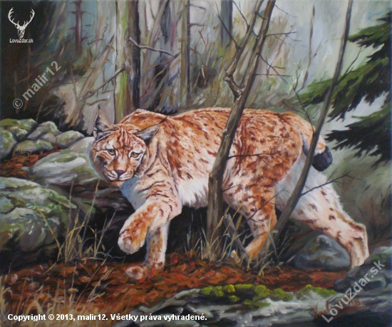 Rys_Lynx