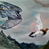 Jestřáb a bělokur