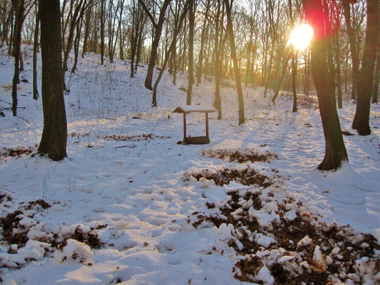 Diviaky navštivili solnik