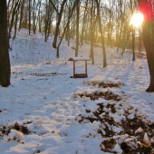 Diviaky navštivili solnik