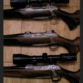 sauer202 trojičky
