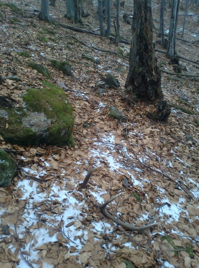 pára korunový 10torák