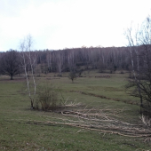 Dokonalý ohryz osík