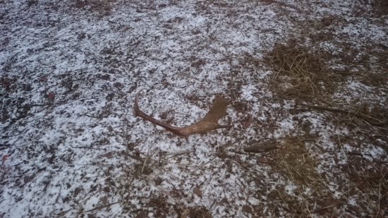 Štefanské ukončenie sezóny