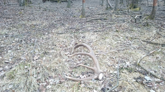 1. tohtoročný 10-torák