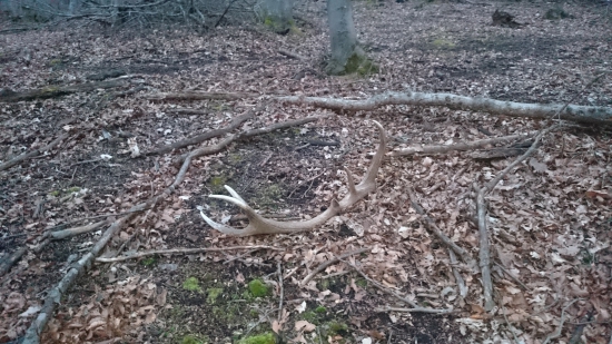 2.tohtoročný-vychodený