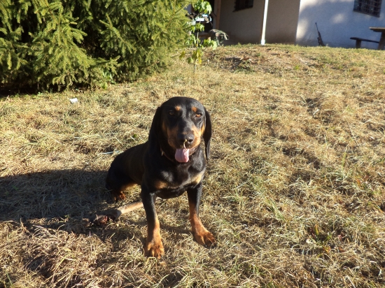 Afra spod Kamenického hradu