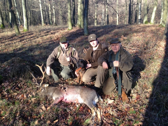 Brixova 3 dohladávka