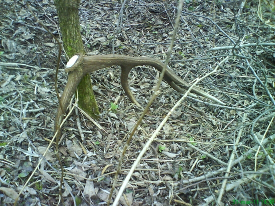 vcerajsi ulovok zeny 1.