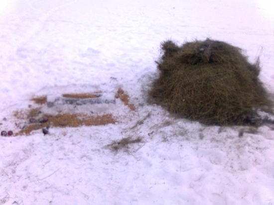 ťažká zima 2013