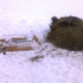 ťažká zima 2013