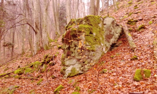 Po pri dnešnéj  prechádzka