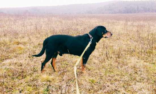 Hary Balienec 12.rok.