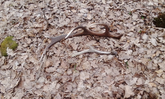 dnes sme mali konečne šťastie :)