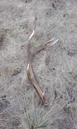 Dnešný 10torák :-)