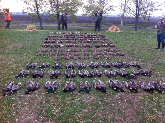 Polovacka v Madarsku