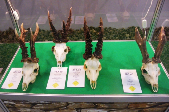 Slovenský poľovnícky poklad