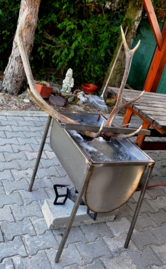 Povinosti po úspešnom love