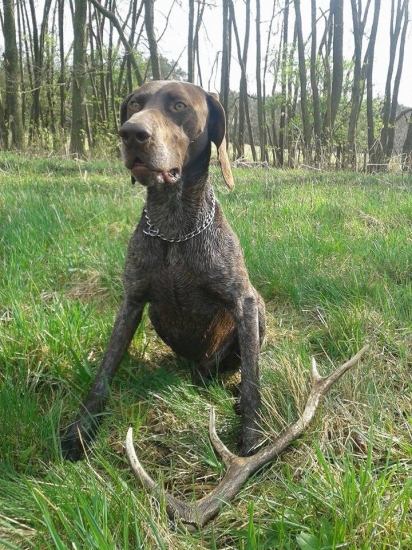 Po troch dňoch do páru ;)