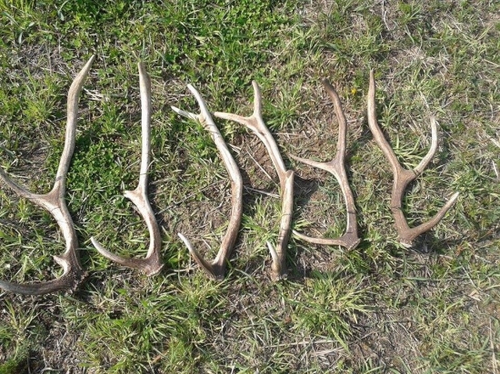 Ešte stále sa darí ;)