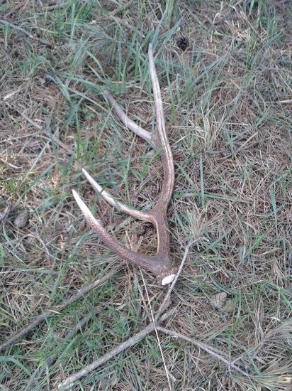 Zadarilo sa ešte :)