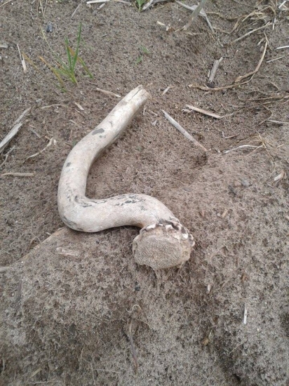 Aj taký sa dá nájsť :)