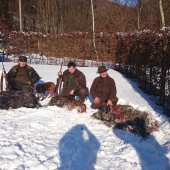 Slnečné mrazivé ráno