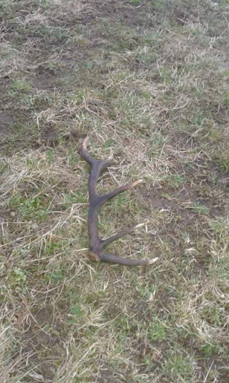 prechádzka 14-torák