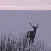 Žeby vedel že som tam?