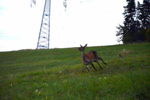 Hopááá