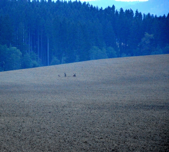 odpočinok