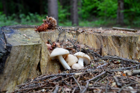 Spomienka na Máááj.. :-)