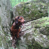 Na prechadzke